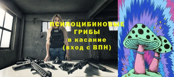 2c-b Няндома