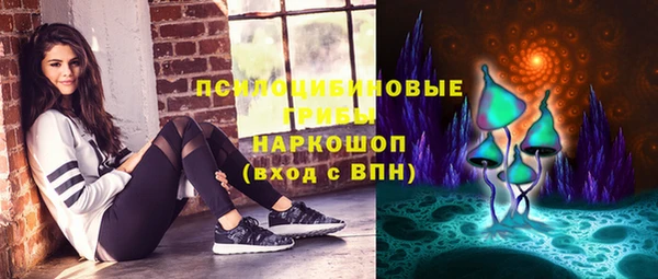 тгк Арсеньев