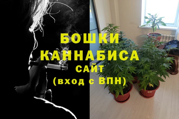 тгк Арсеньев