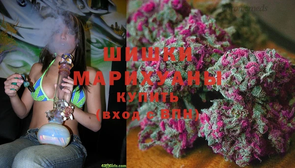 тгк Арсеньев