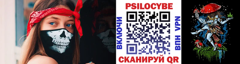 закладки  Сухиничи  Псилоцибиновые грибы ЛСД 